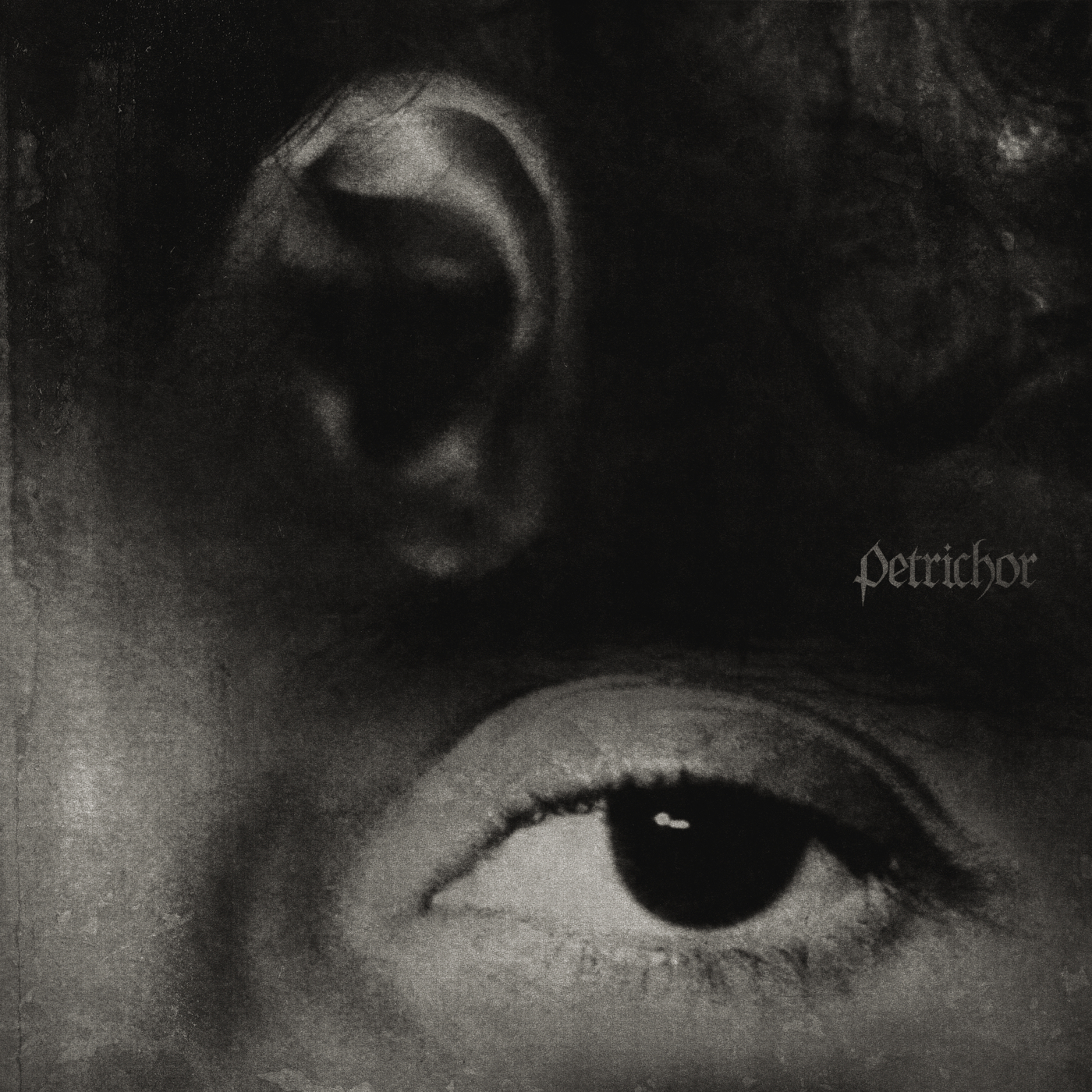 petrichor
